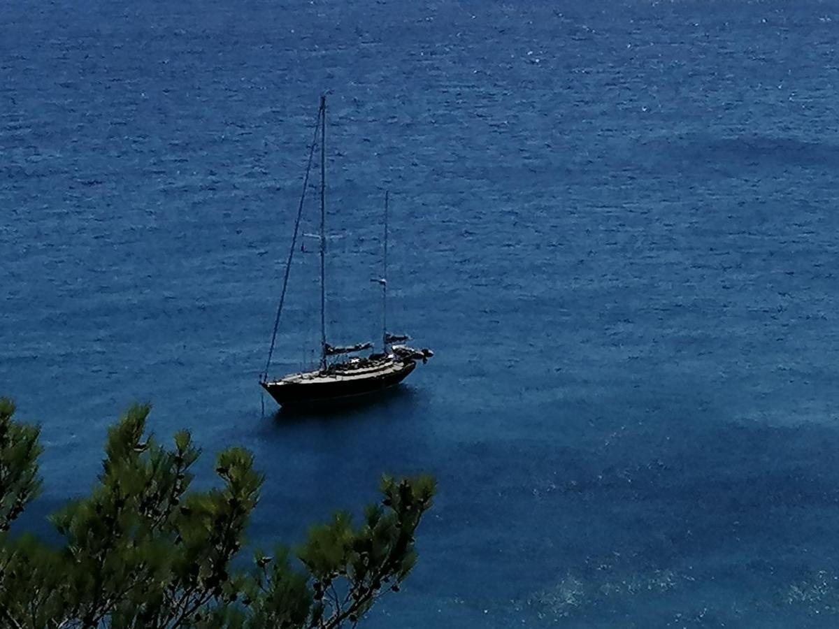 Ferma Solaris Apartments Agia Fotia  Luaran gambar