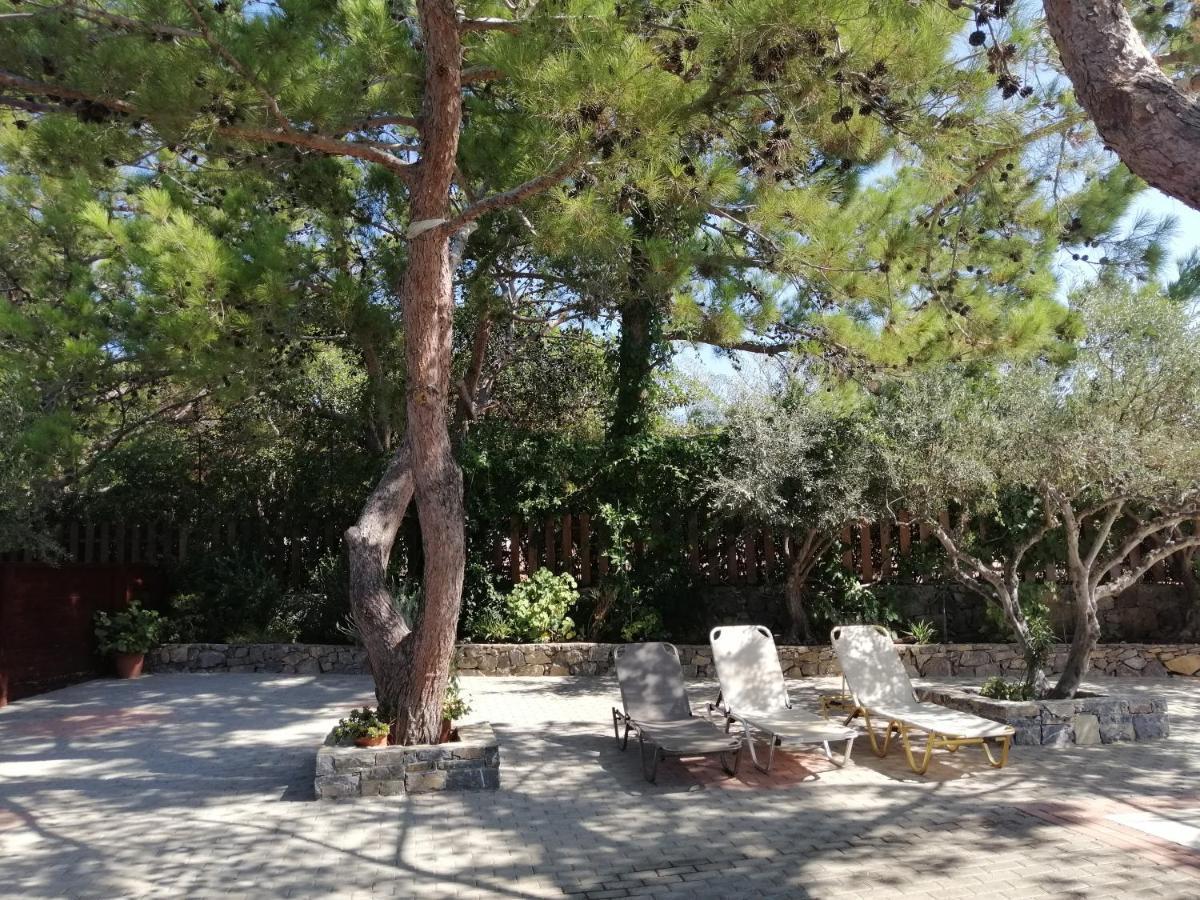Ferma Solaris Apartments Agia Fotia  Luaran gambar